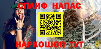 дживик Моздок