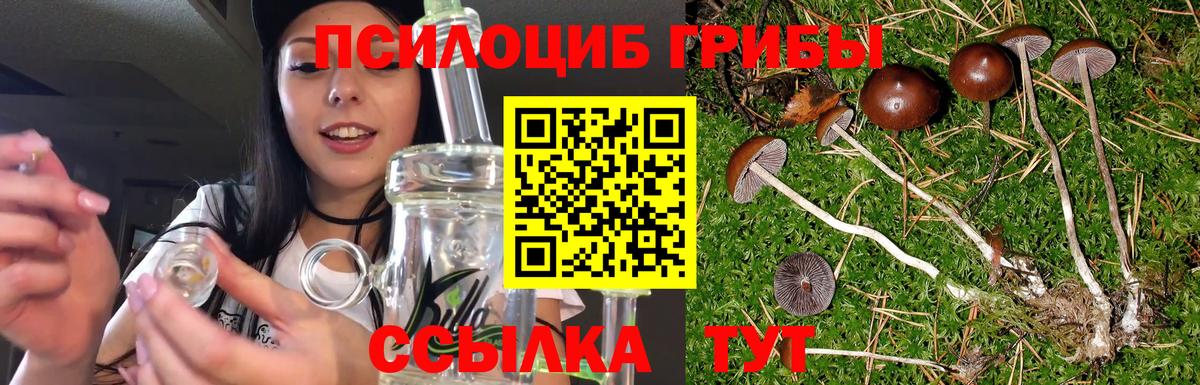 Галлюциногенные грибы Magic Shrooms Сегежа