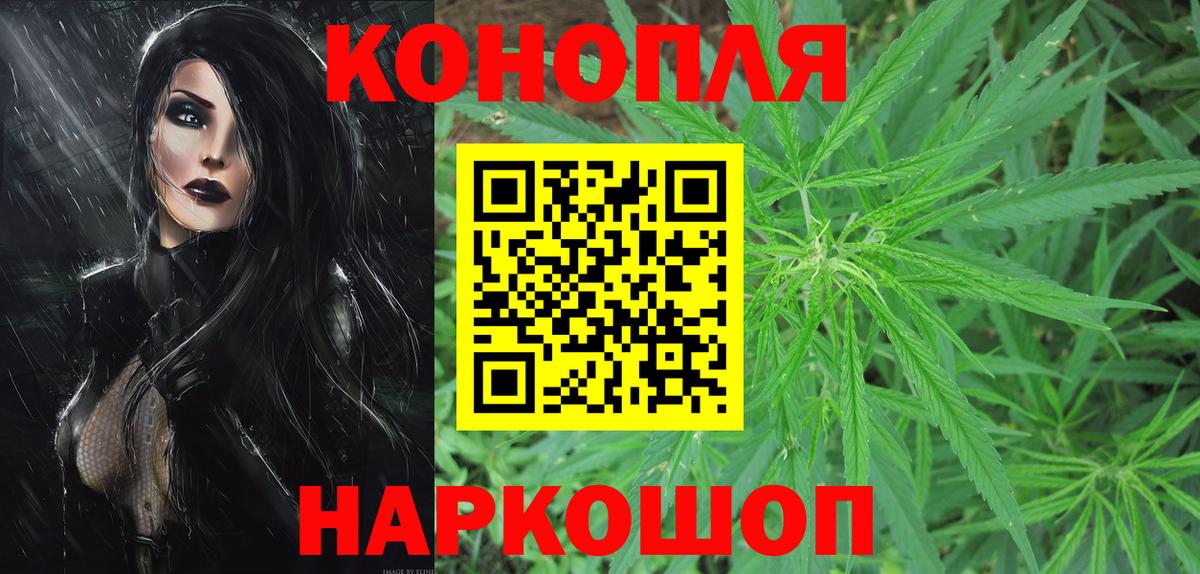 Бошки марихуана сатива  Канабис план  Канабис конопля  Сегежа  Вход с VPN 